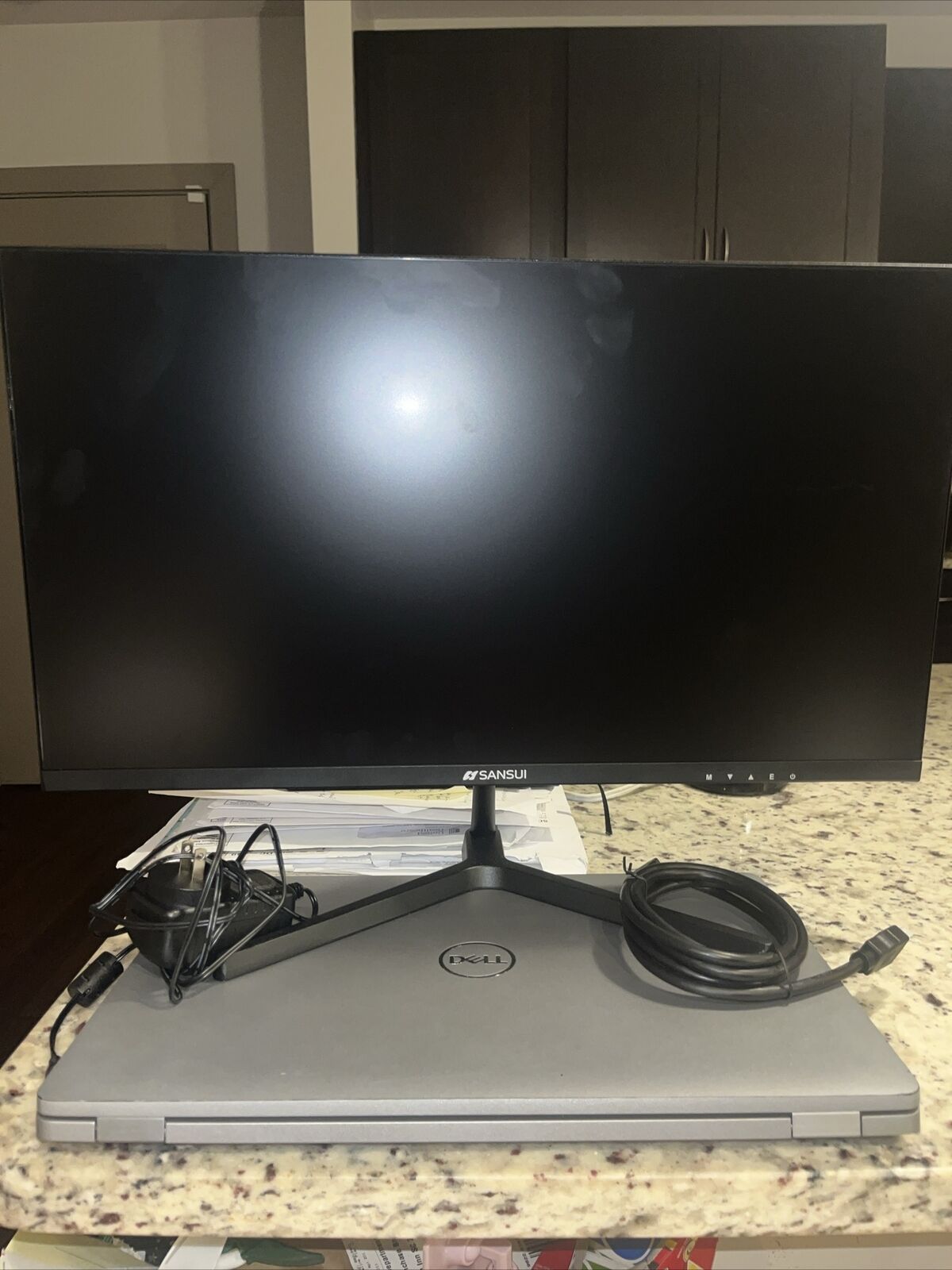 SANSUI Computer Monitors 24 inch 100Hz IPS 1080P HDR10 for Working and Gaming
