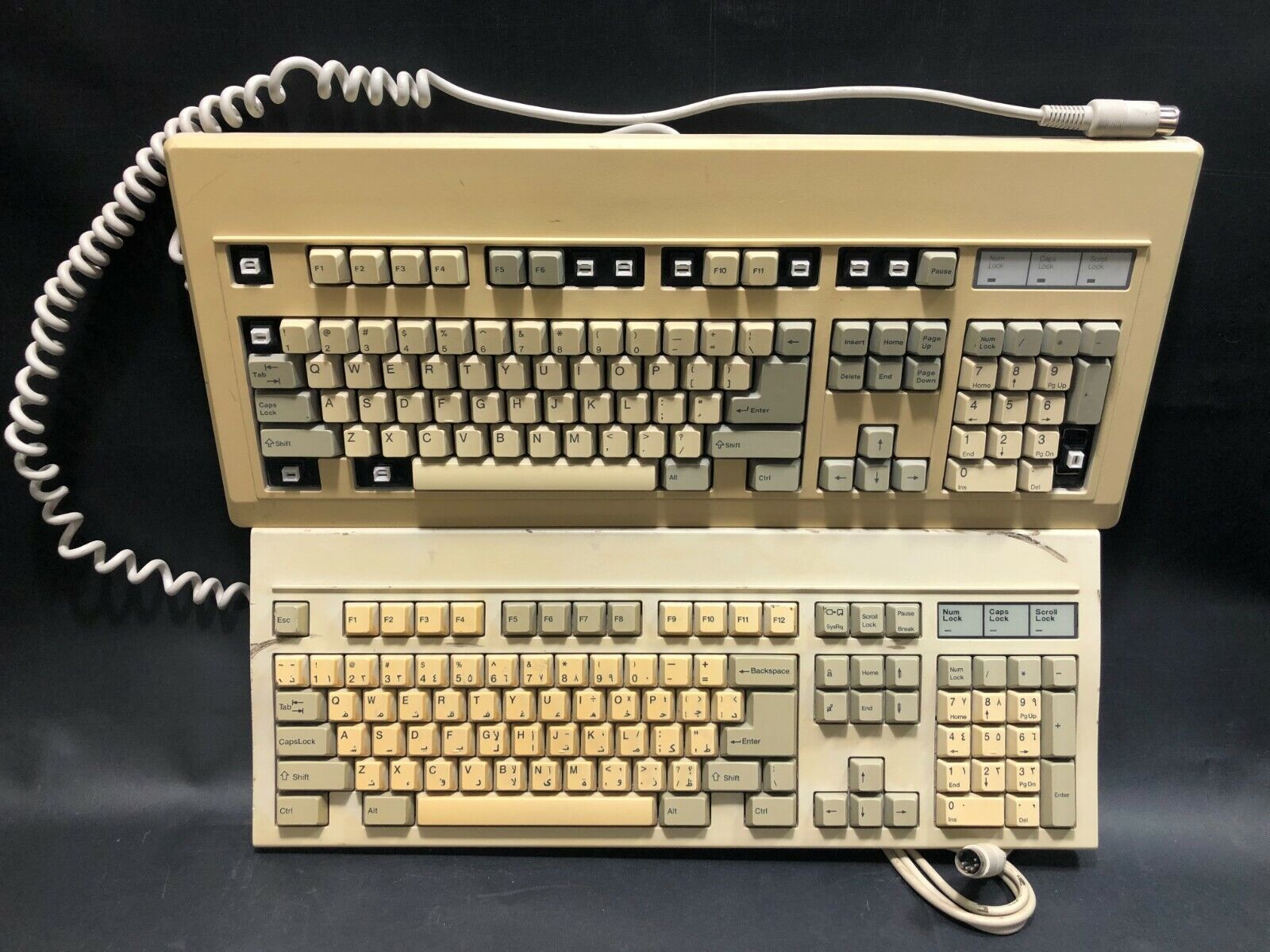 Philips Vintage Keyboard Model P2813-015 + BTC-55 