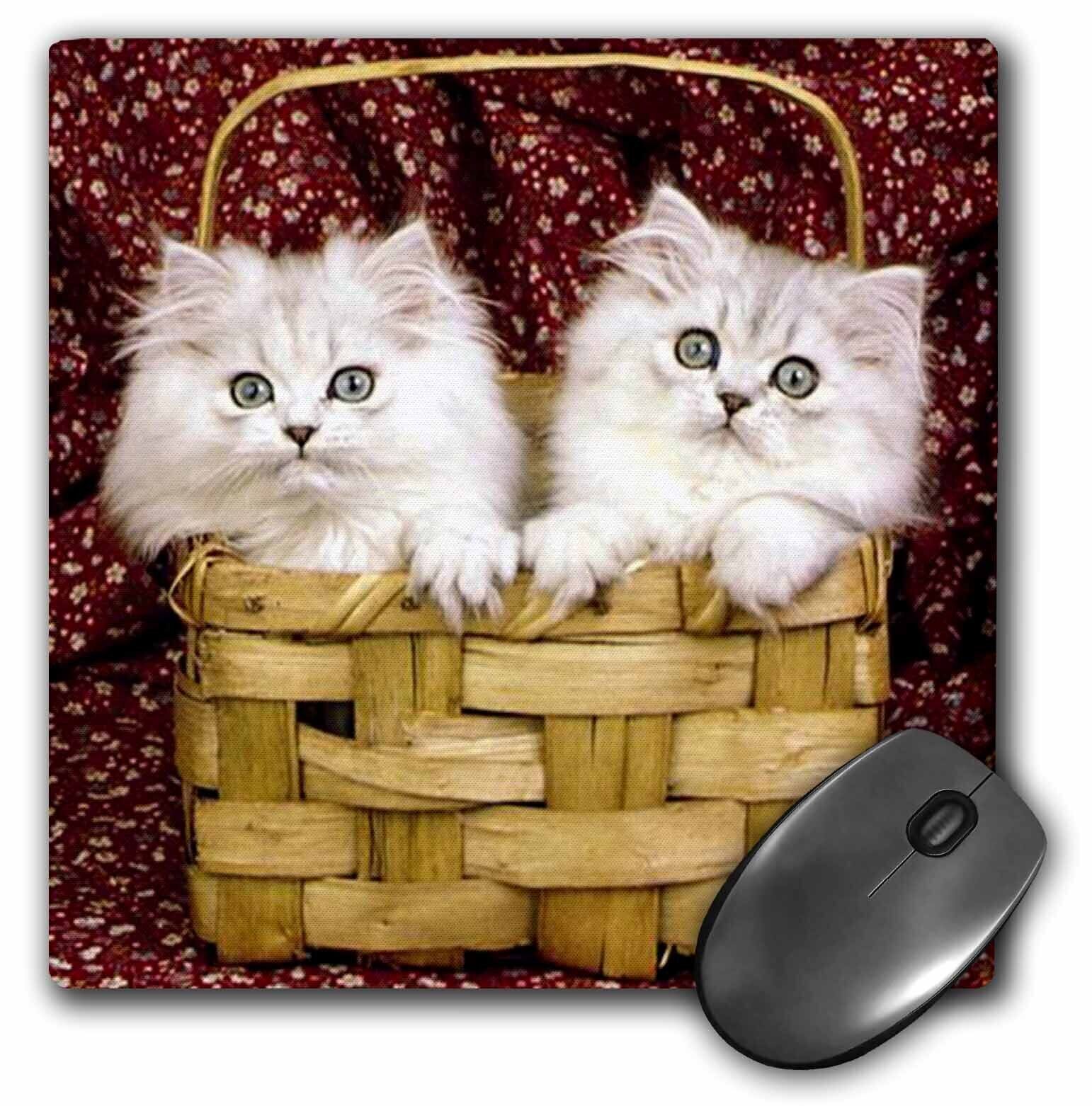 3dRose Kittens in the basket MousePad