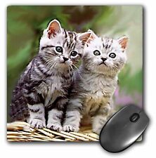 3dRose Two Kittens MousePad picture