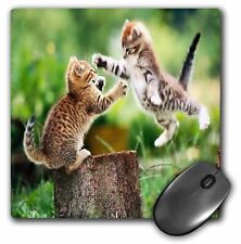 3dRose Kittens Having Fun MousePad picture