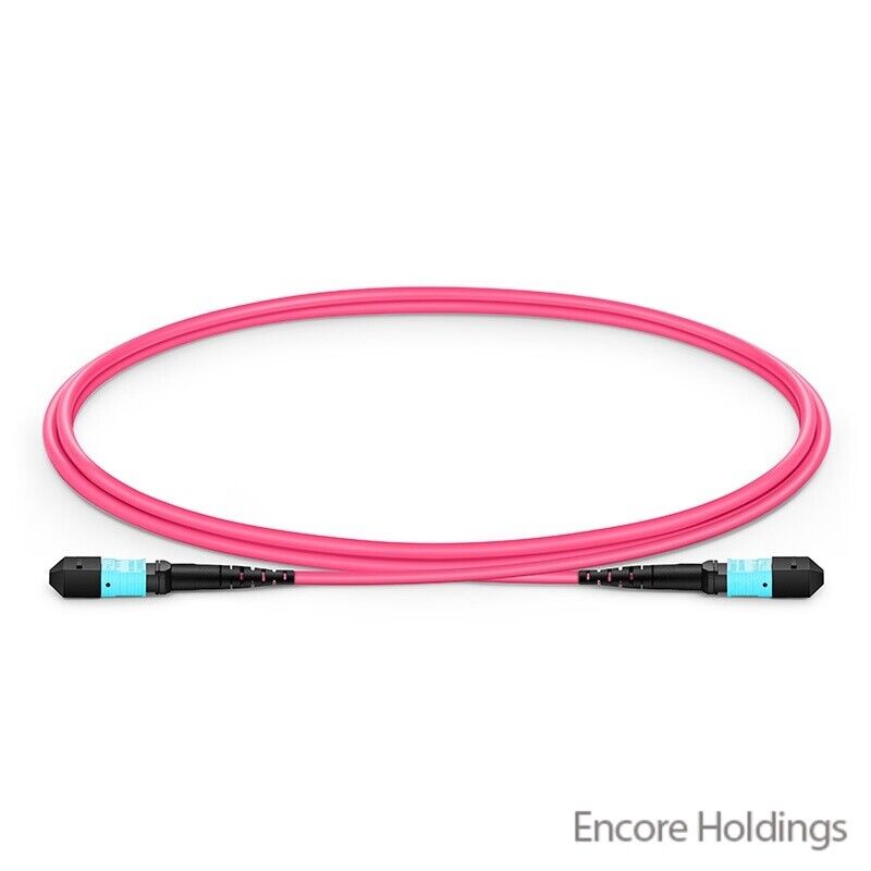 FS 12-Fiber MTP/MPO Female OM4 Multimode Patch Cable - 3.3-Feet - 12FMTPOM4-1M